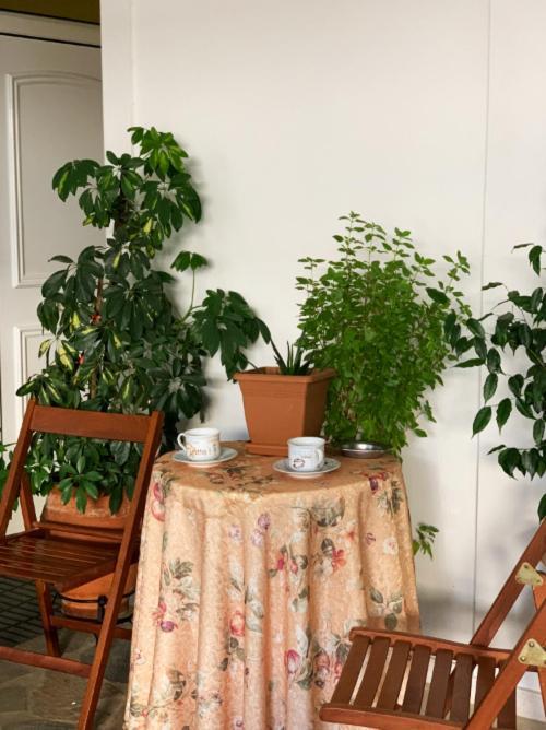 Zoe'S Apartment Bright&Cozy アテネ エクステリア 写真